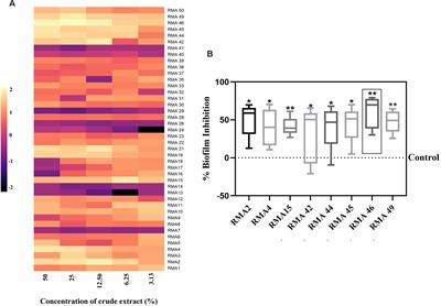 Exploration of Anti-infectives From Mangrove-Derived Micromonospora sp. RMA46 to Combat Vibrio cholerae Pathogenesis